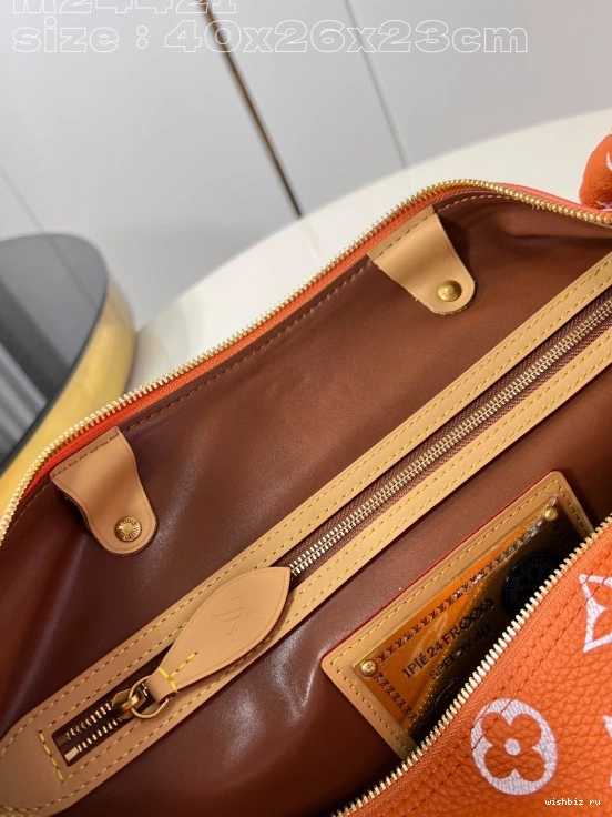 WIS SPEEDY Louis Vuitton 40 0307